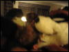 [Twitch MFF2006 044]