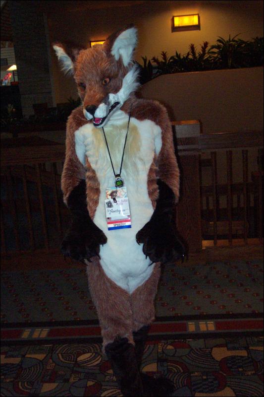 [Wild_Wolf_MFF2006_007.jpg]