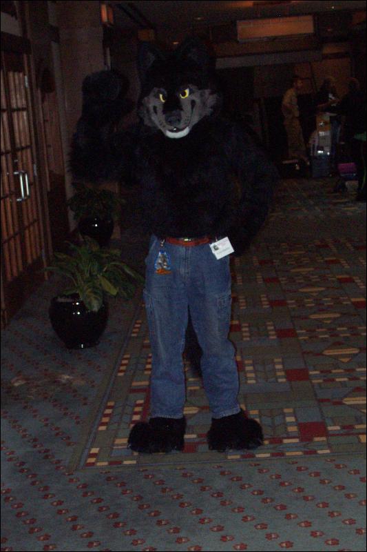 [Wild_Wolf_MFF2006_011.jpg]