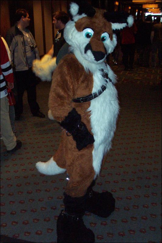 [Wild_Wolf_MFF2006_014.jpg]