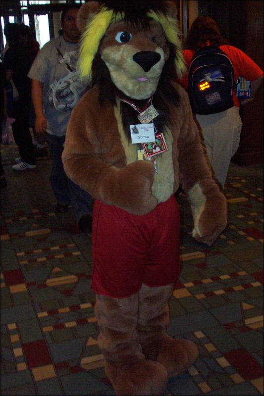 [Wild_Wolf_MFF2006_018.jpg]