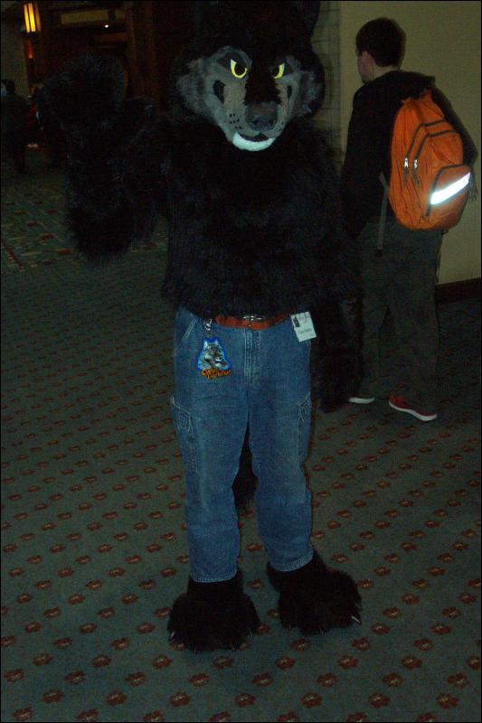 [Wild_Wolf_MFF2006_024.jpg]