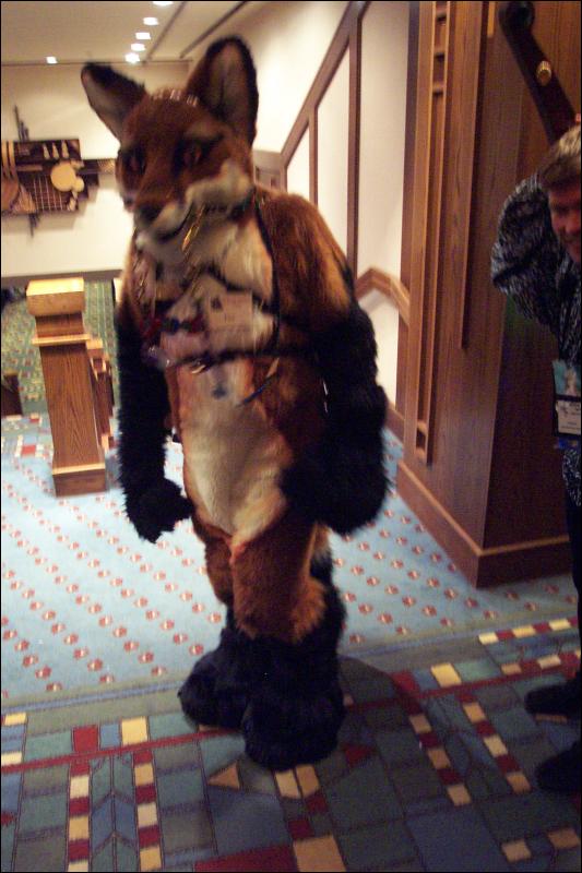 [Wild_Wolf_MFF2006_025.jpg]