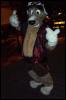 [Wild Wolf MFF2006 030]