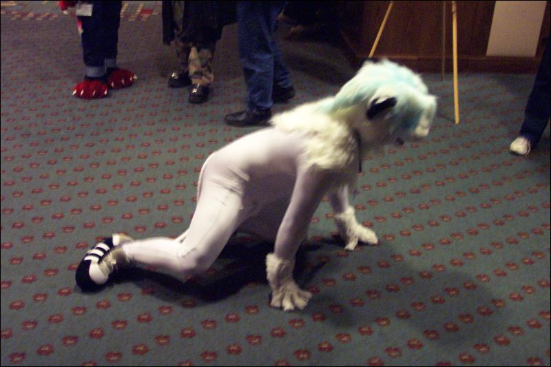 [Wild_Wolf_MFF2006_032.jpg]