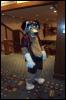 [Wild Wolf MFF2006 034]