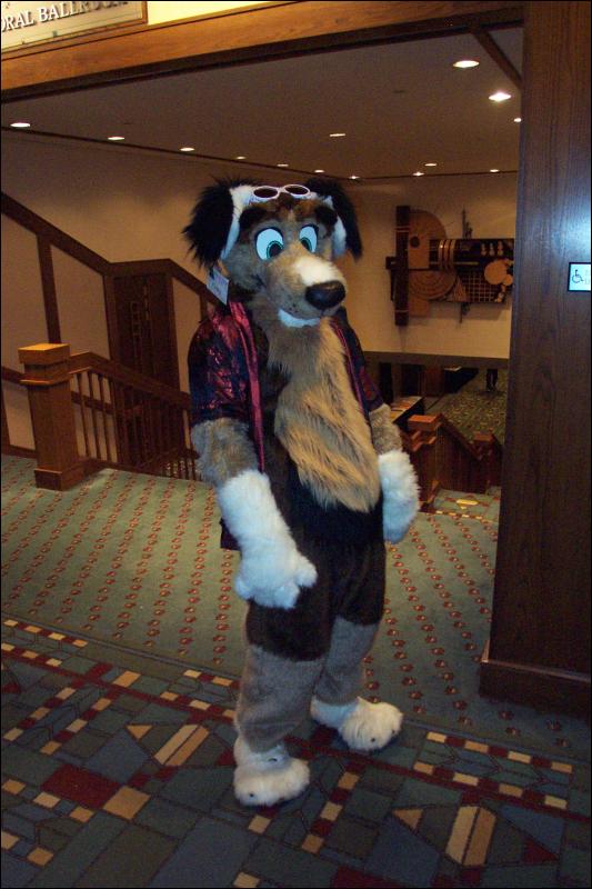 [Wild_Wolf_MFF2006_034.jpg]