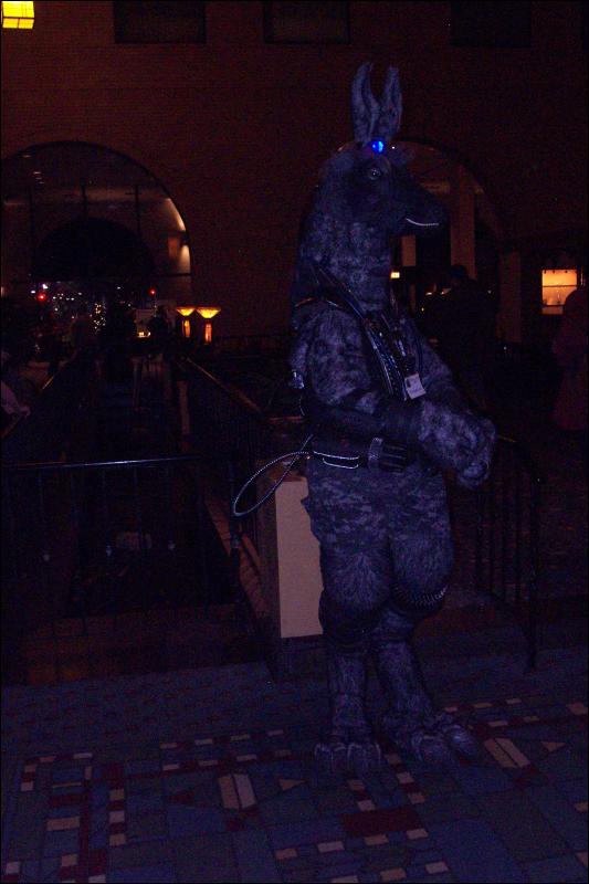 [Wild_Wolf_MFF2006_037.jpg]