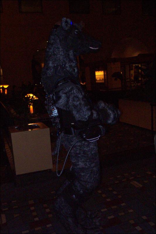 [Wild_Wolf_MFF2006_038.jpg]