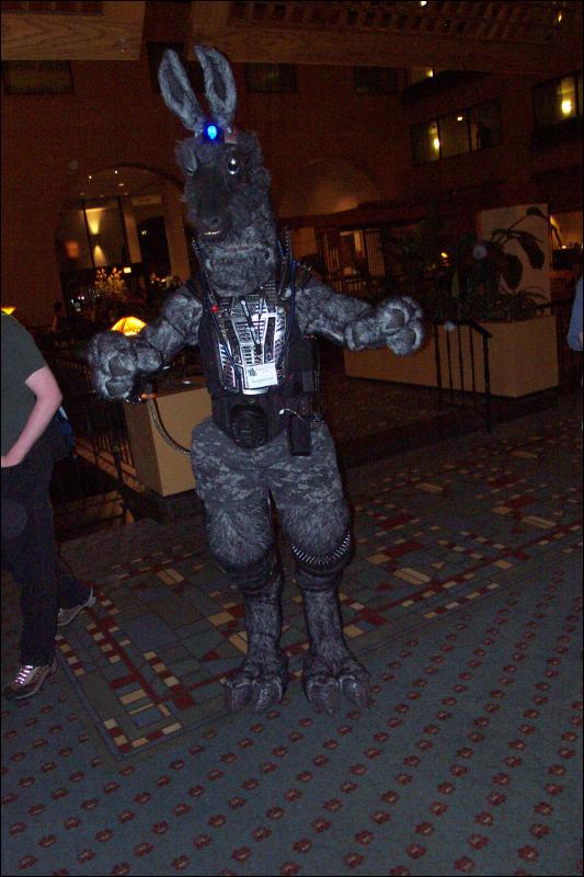 [Wild_Wolf_MFF2006_040.jpg]