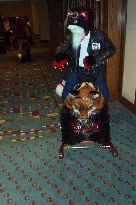 [Wild_Wolf_MFF2006_044.jpg]