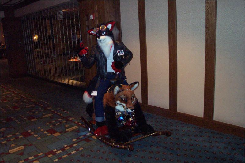 [Wild_Wolf_MFF2006_046.jpg]