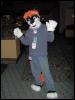 [Wildfox MFF2006 039]