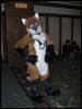 [Wildfox MFF2006 047]