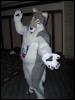 [Wildfox MFF2006 059]