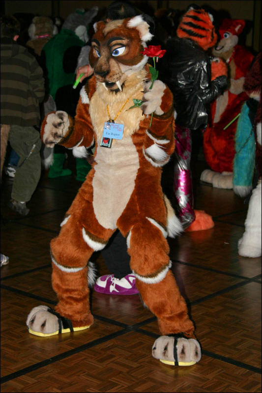 [Armadillos_MFF2007_123.jpg]