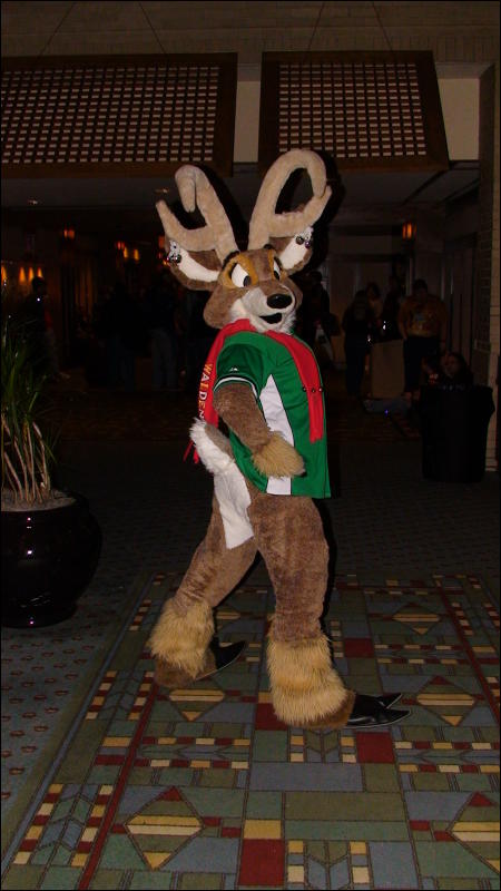 [Aoi_MFF07_c0059.JPG]