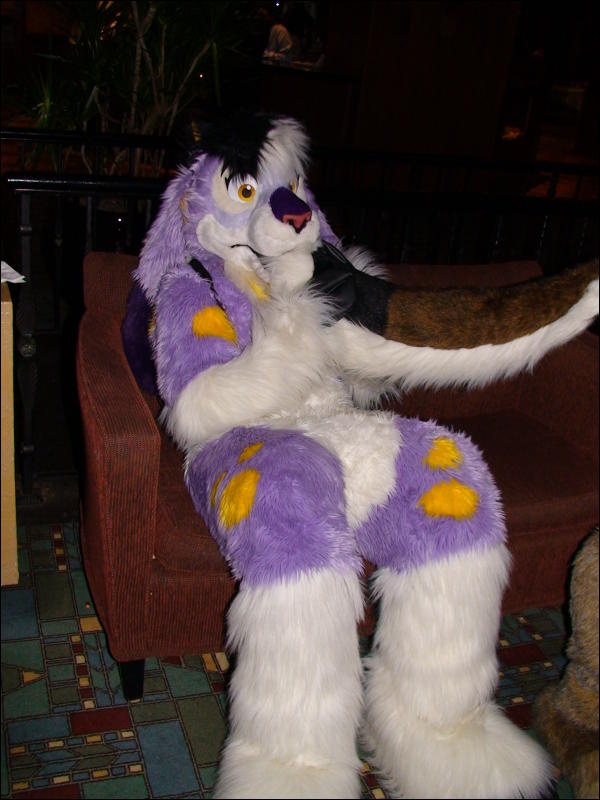 [Aoi_MFF07_c0135.JPG]