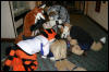[Armadillos MFF2007 046]