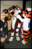 [Armadillos MFF2007 055]