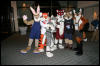 [Armadillos MFF2007 059]