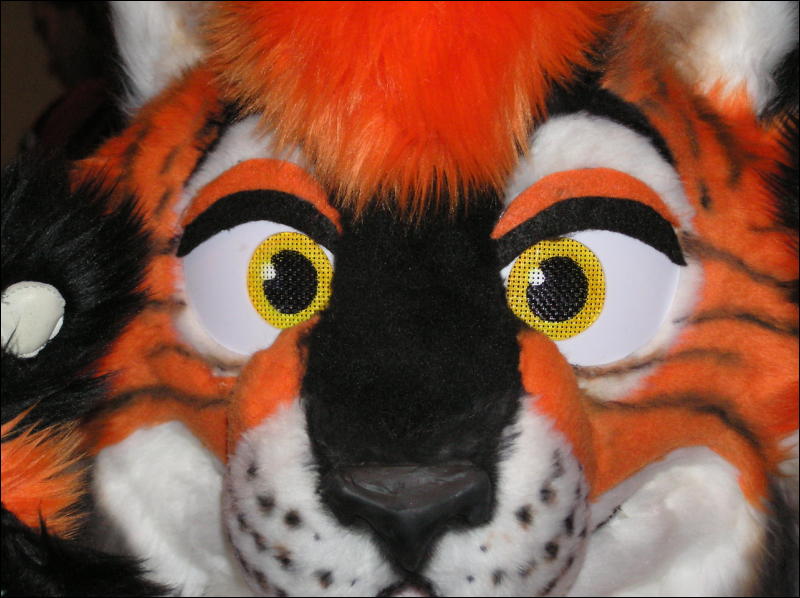 [Diadexxus_MFF2007_028.jpg]
