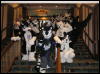 [Diadexxus MFF2007 049]