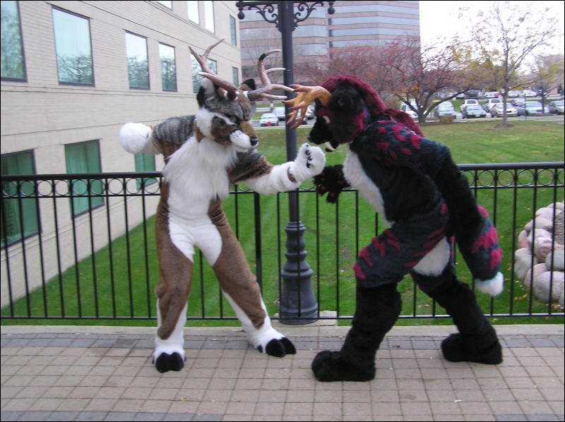 [Diadexxus_MFF2007_058.jpg]