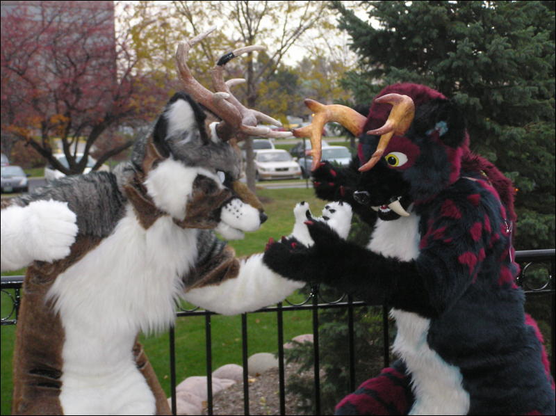 [Diadexxus_MFF2007_066.jpg]