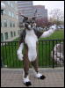 [Diadexxus MFF2007 084]
