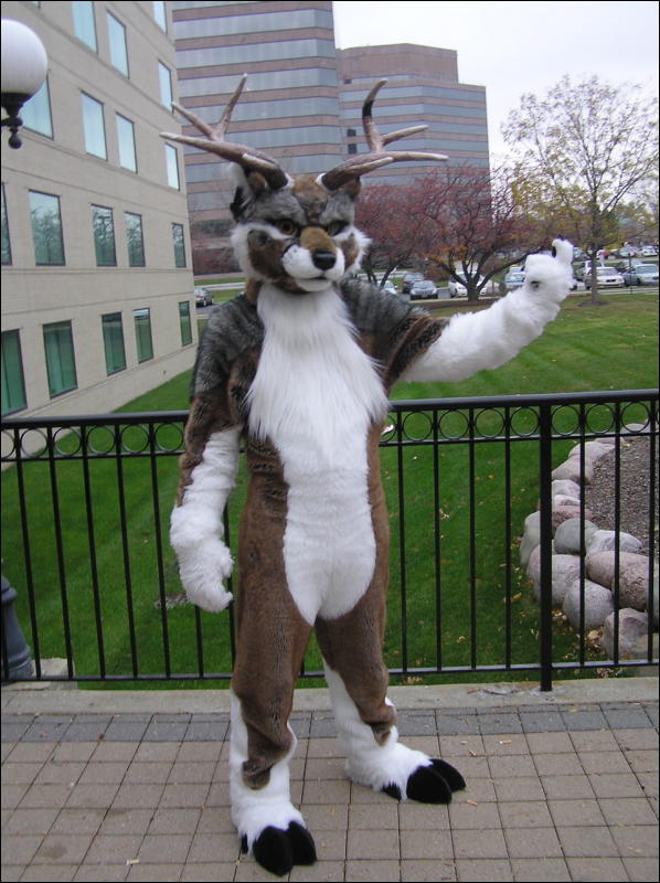 [Diadexxus_MFF2007_084.jpg]