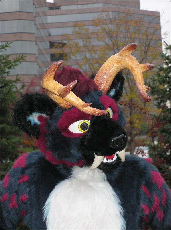 [Diadexxus_MFF2007_092.jpg]