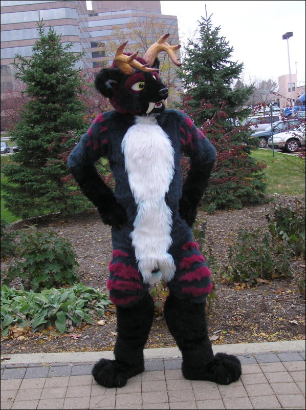 [Diadexxus_MFF2007_093.jpg]