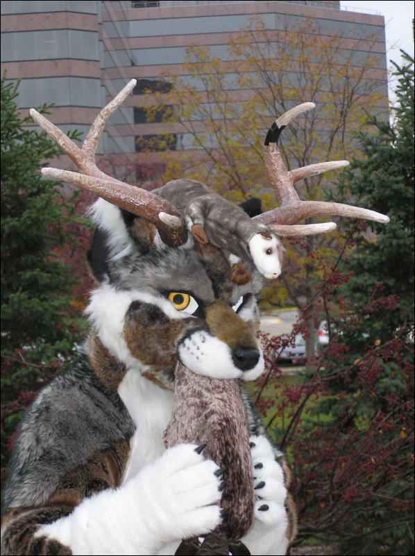 [Diadexxus_MFF2007_105.jpg]