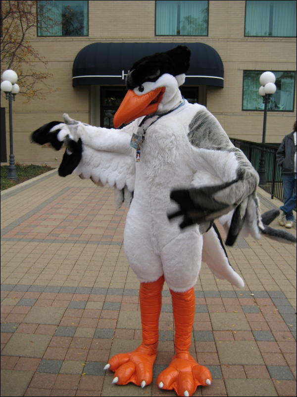 [Frysco_MFF2007_101.jpg]