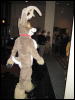 [Frysco MFF2007 192]