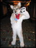[Frysco MFF2007 201]
