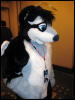 [Frysco MFF2007 265]