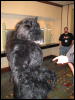 [Frysco MFF2007 270]