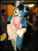 [Frysco MFF2007 329]
