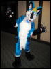 [Frysco MFF2007 368]