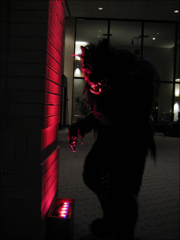 [Frysco_MFF2007_370.jpg]