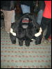 [Frysco MFF2007 382]