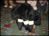 [Frysco MFF2007 384]