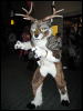 [Frysco MFF2007 433]