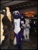 [MacLeod MFF2007 040]