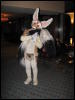 [MacLeod MFF2007 064]
