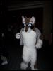 [Navajo MFF2007 016]