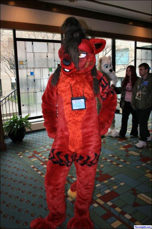 [Perro_MFF2007_035.jpg]