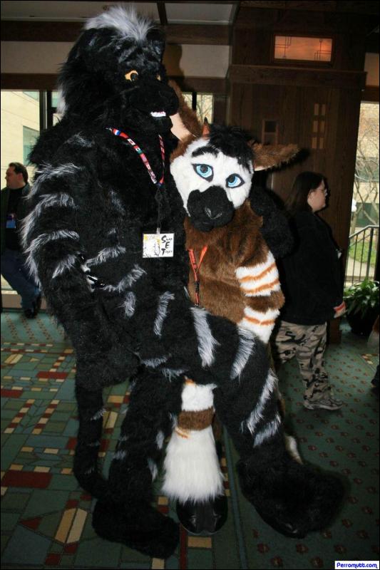 [Perro_MFF2007_049.jpg]